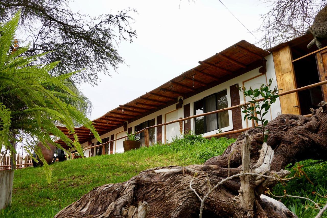 Rochabus Hotel Ica Luaran gambar